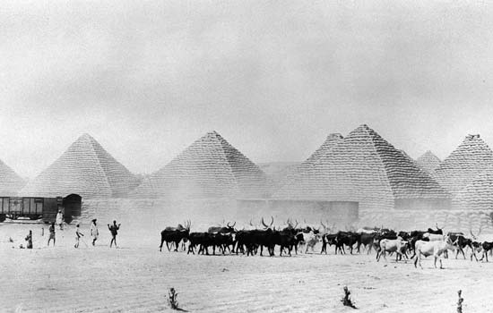 Kano Groundnut Pyramids